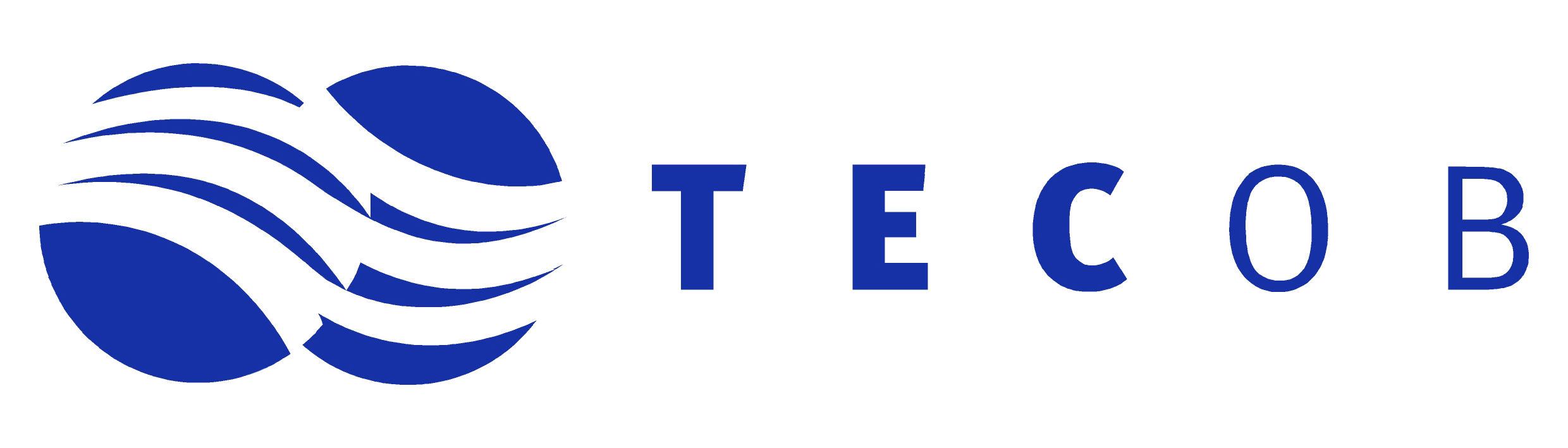 TECOB Logo